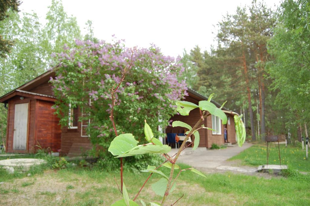 Lomasaaret Cottages Villala Habitación foto